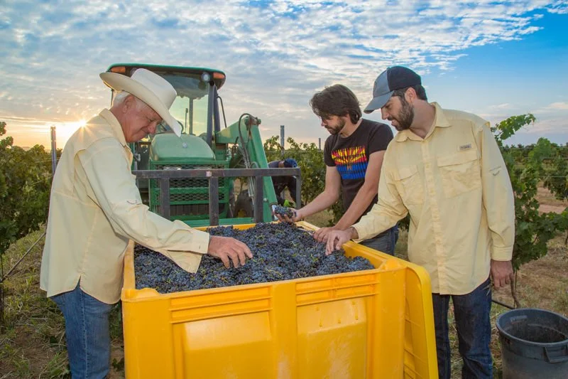 &nbsp;Cottonwood: Holding Down The AZ Wine Trail