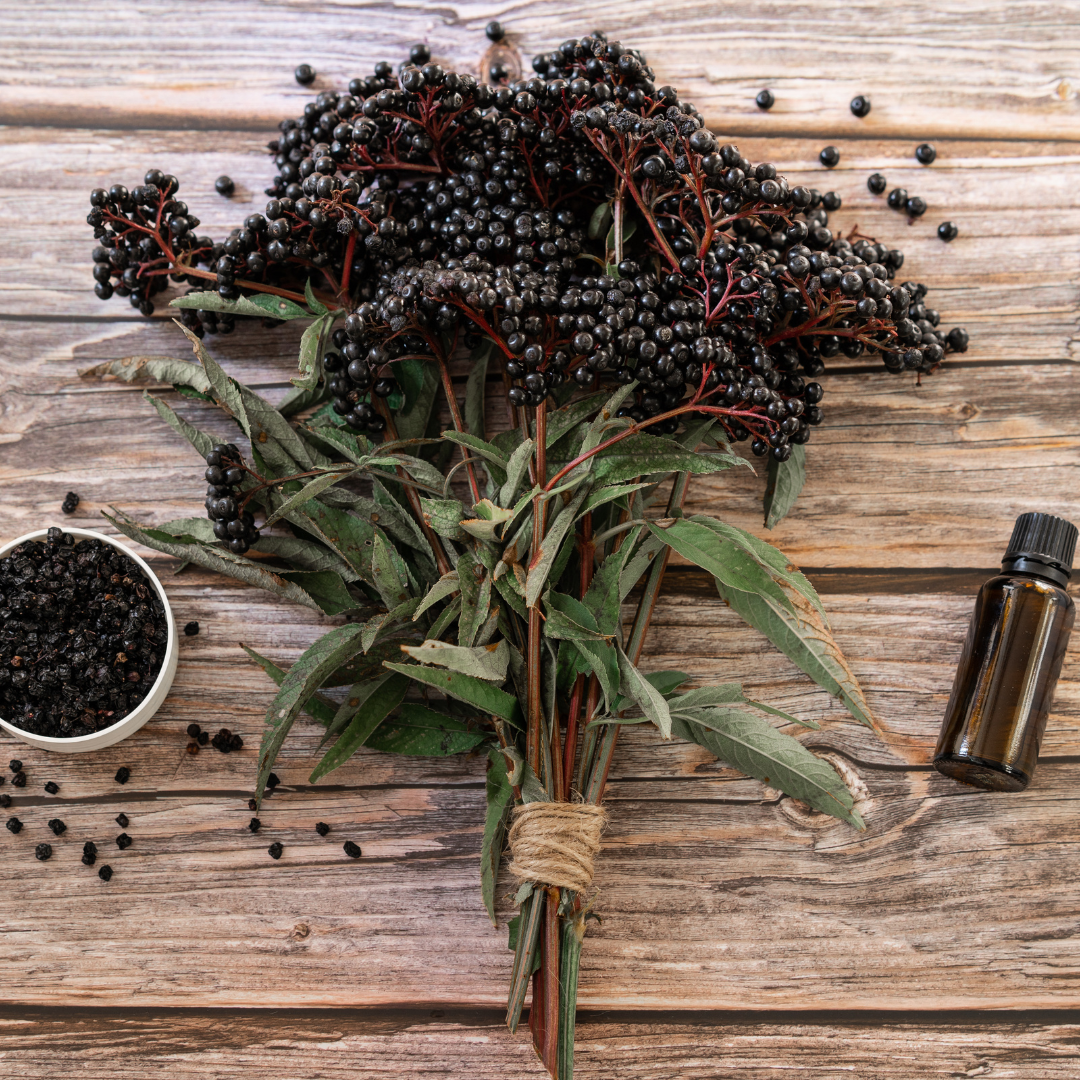 Boost your Immune System with What’s In Season at Your Farmers Market 
