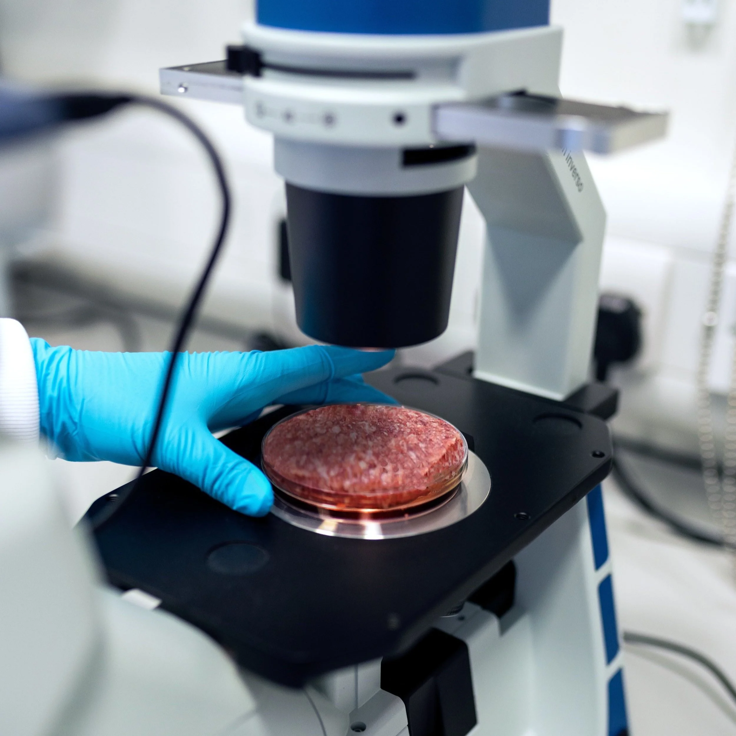 Can Technology Replace Traditional Agriculture?