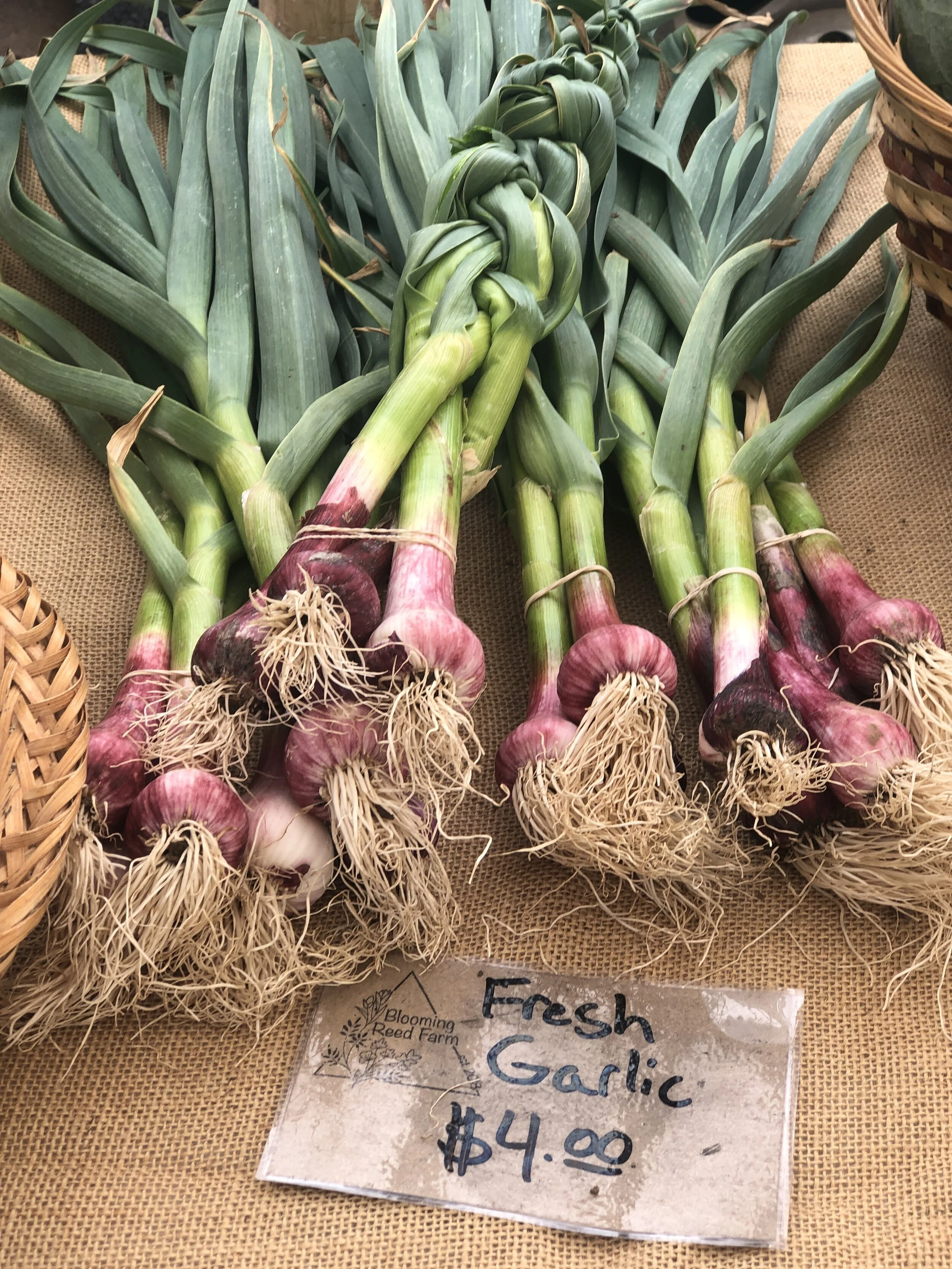 The Good Food Film Series: Summer Collection