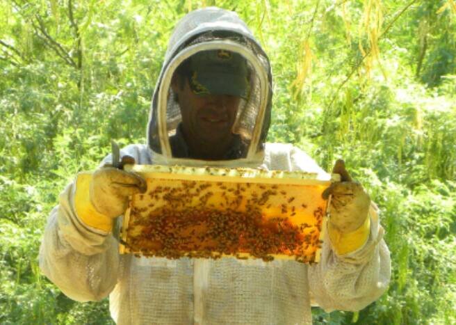 Honey