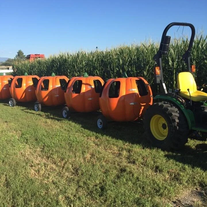 The pumpkin train ride at the Marana Pumpkin Patch