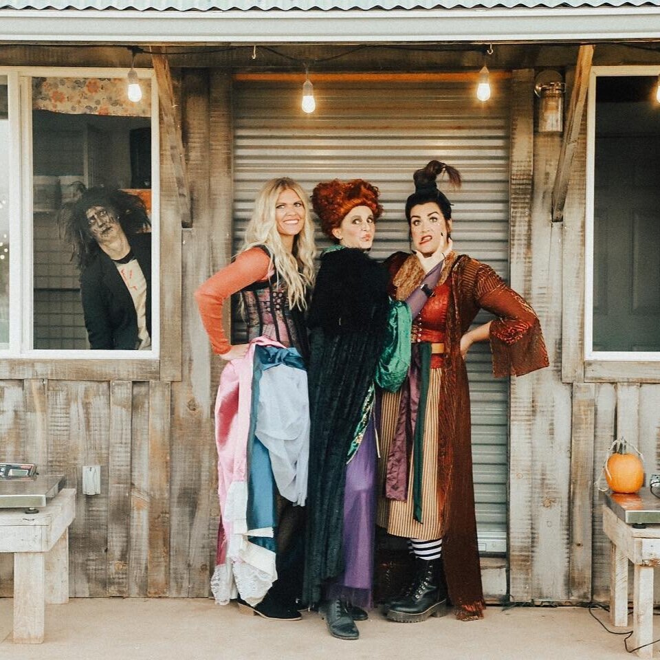 There’s fun to be had at The Willis Farm Haunted cornfield.