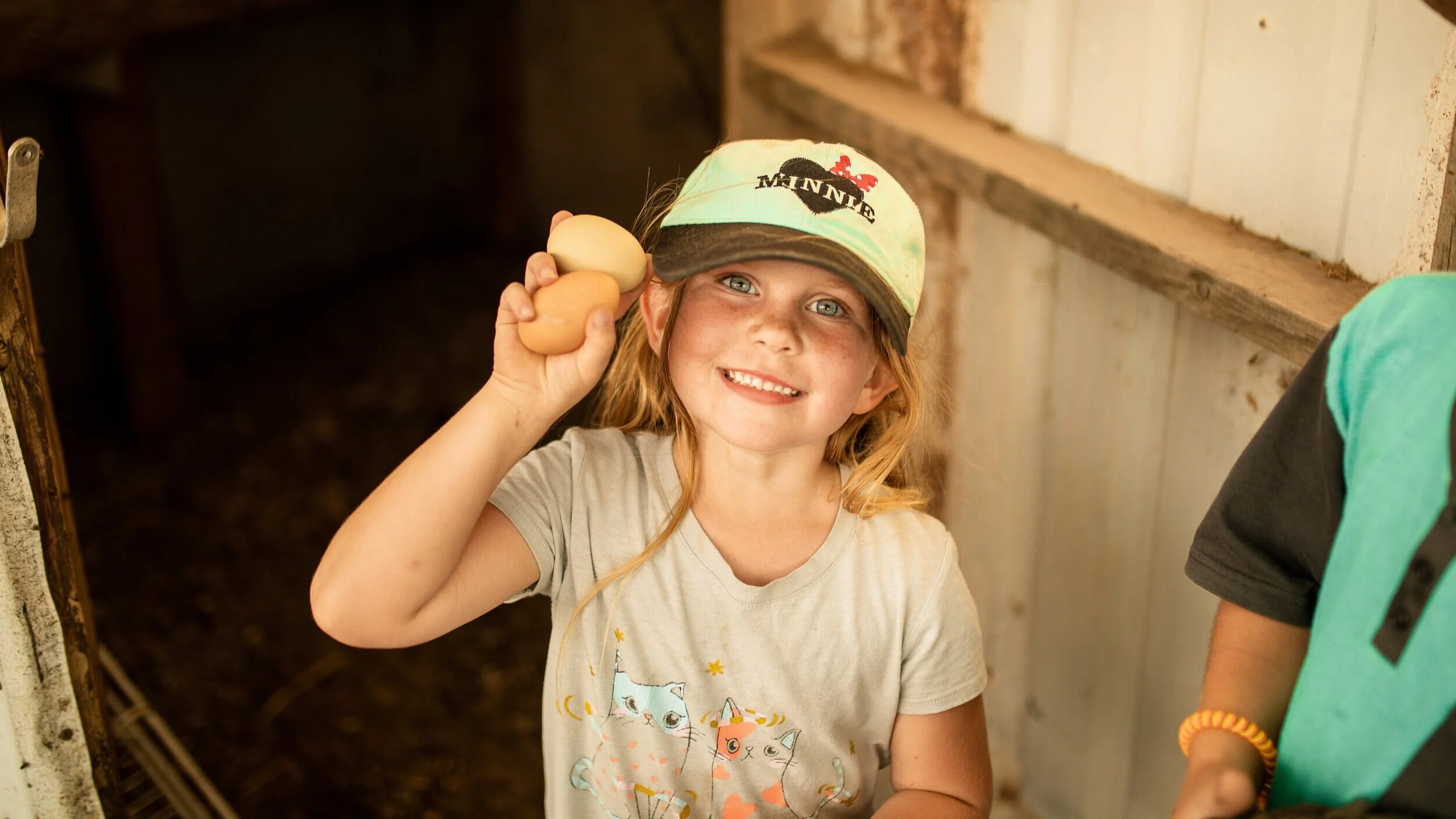 Get eggs, produce and more from Out of the Way Farms.
