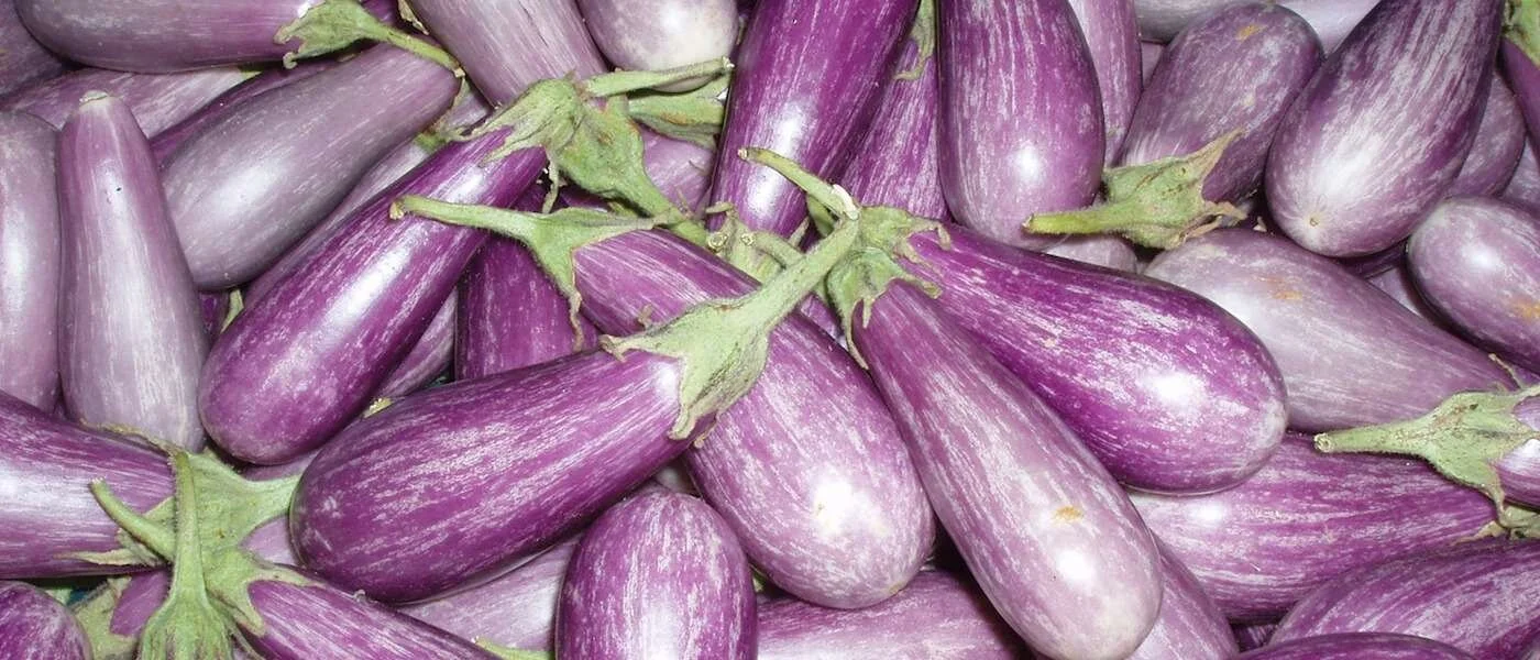 Recipe Roundup: Ingredient Challenges