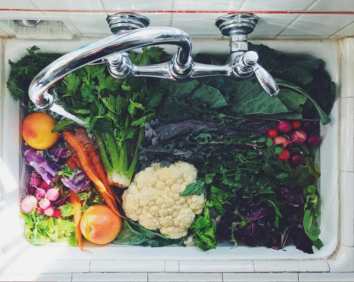 Photo by Tucson CSA from the 2019 @GoodFoodAZ Instagram Takeover.