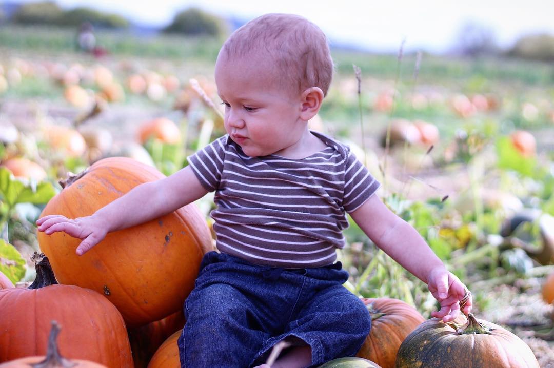 Pumpkin Pie and Jack-o-Lanterns