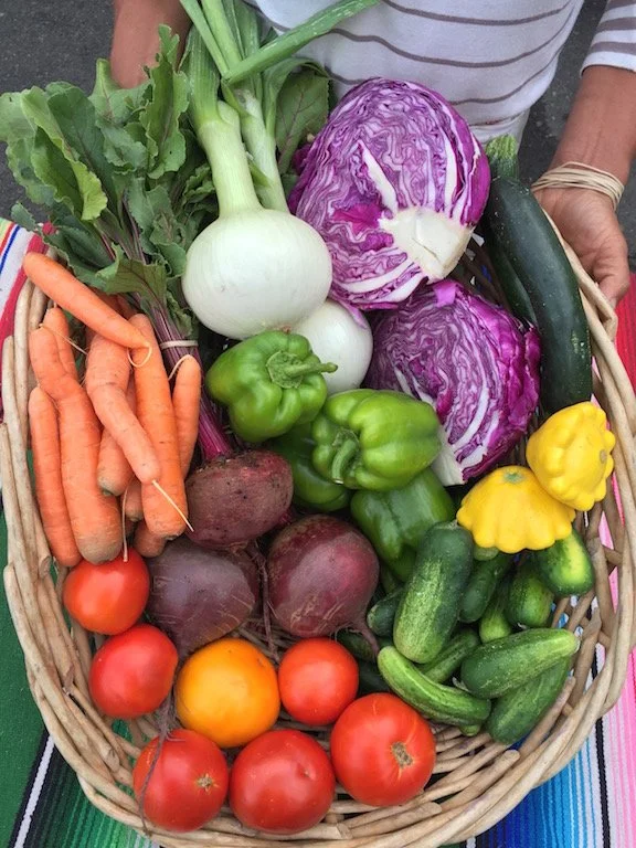 Willowbrook Farms