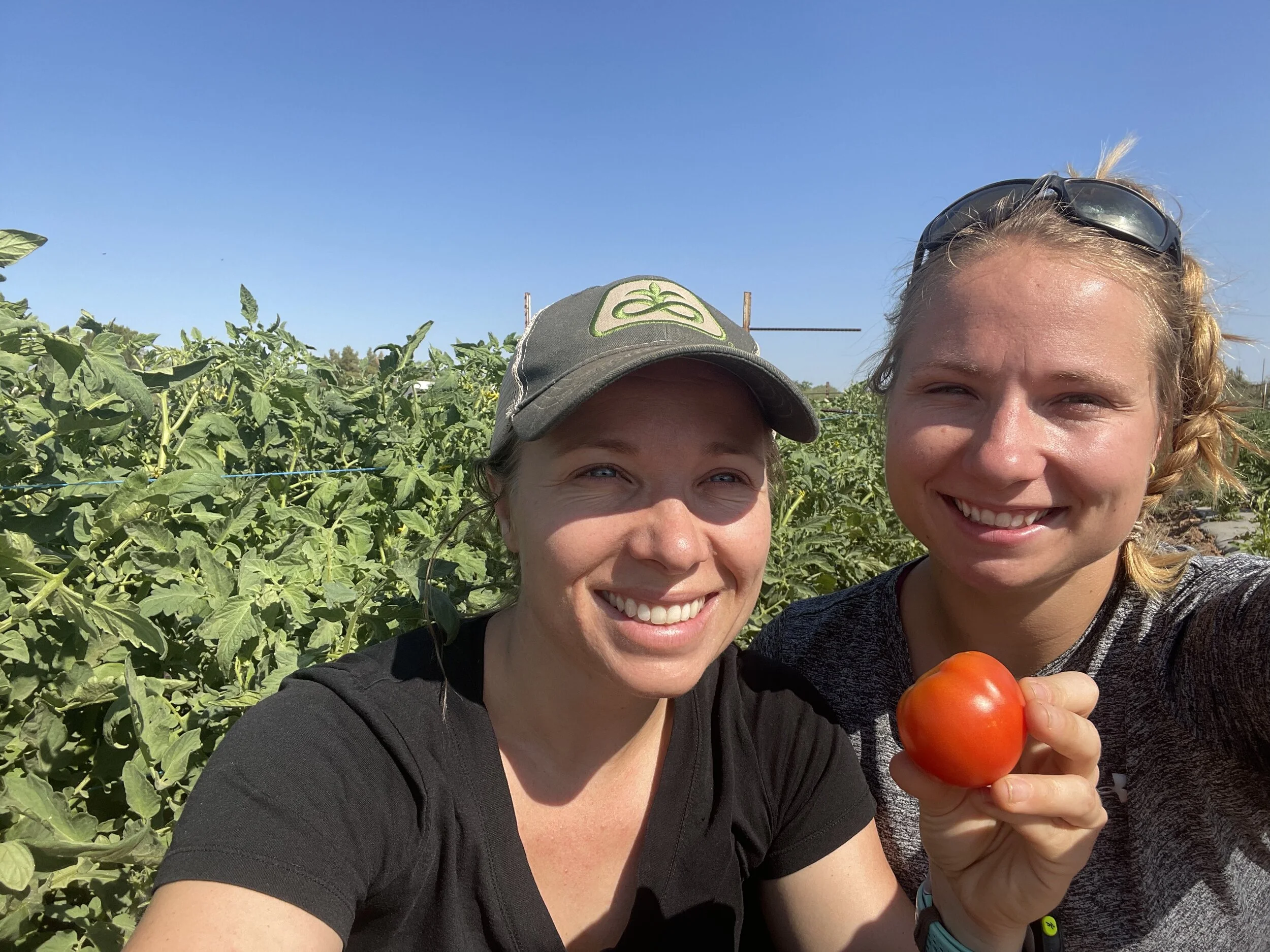 Two Sisters' Tomatoes 