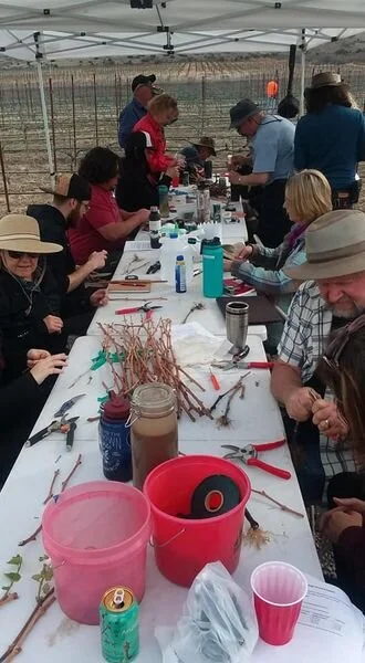 Yavapai College Horticulture Program 