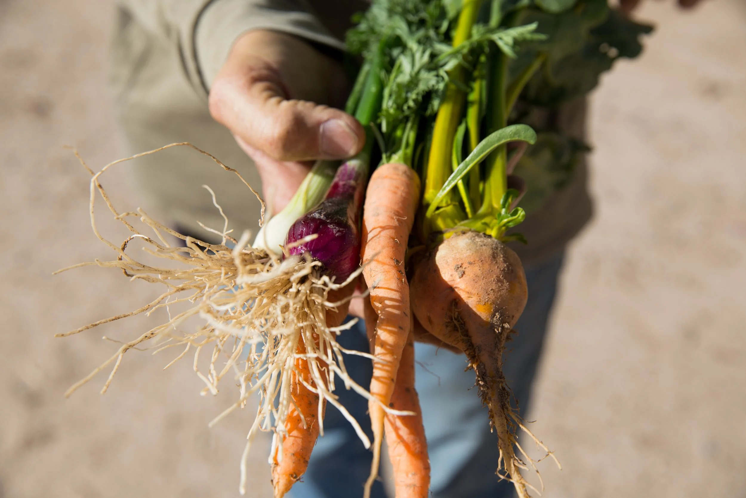 Local First Arizona - Local Buying Program — Devour Good Food