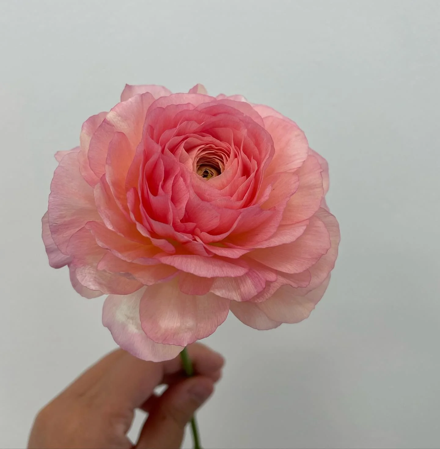 Taking little break.&hellip; will be back soon