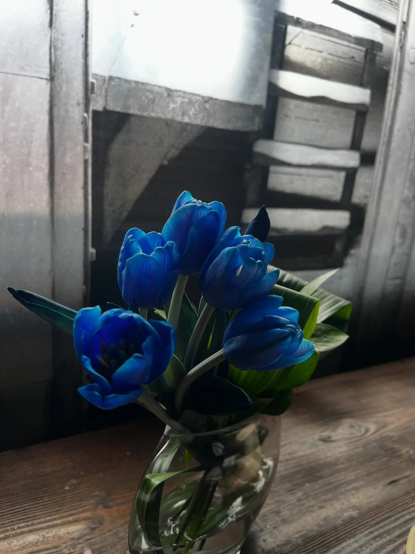 April is Parkinson&rsquo;s Awareness Month.

When Parkinson Canada reached out, we said yes.

This one feels personal.

My family has a history with Parkinson&rsquo;s, and I&rsquo;ve seen how it quietly reshapes a life . Not just for the person livin