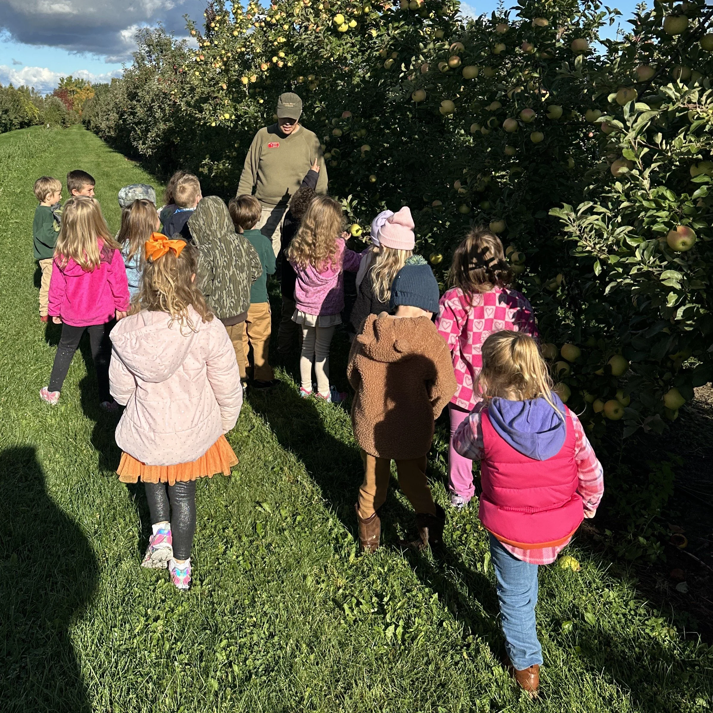 P4 K Field Trip to Orchard 10.2026 6.jpeg