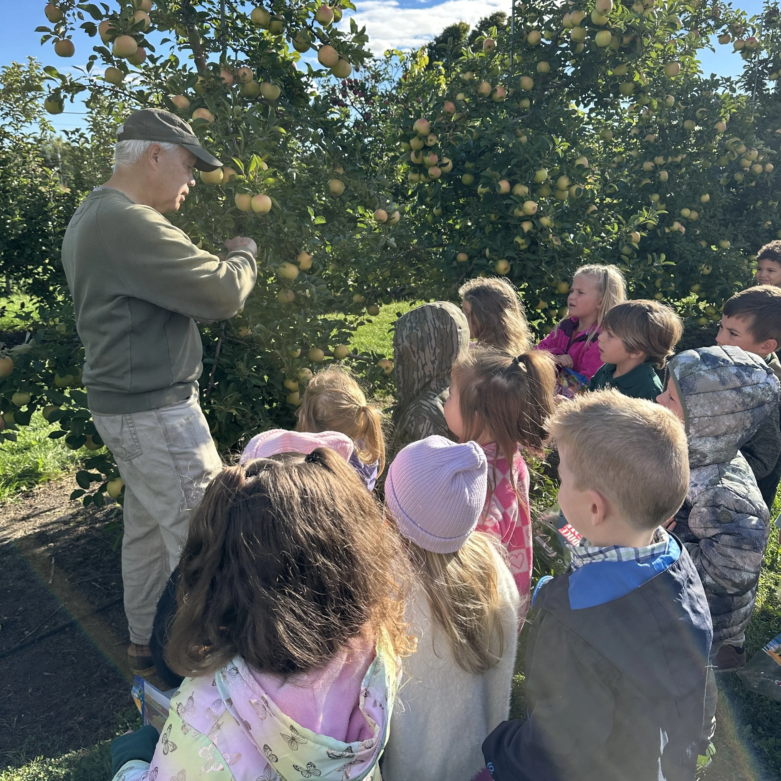 P4 K Field Trip to Orchard 10.2026 3.jpeg