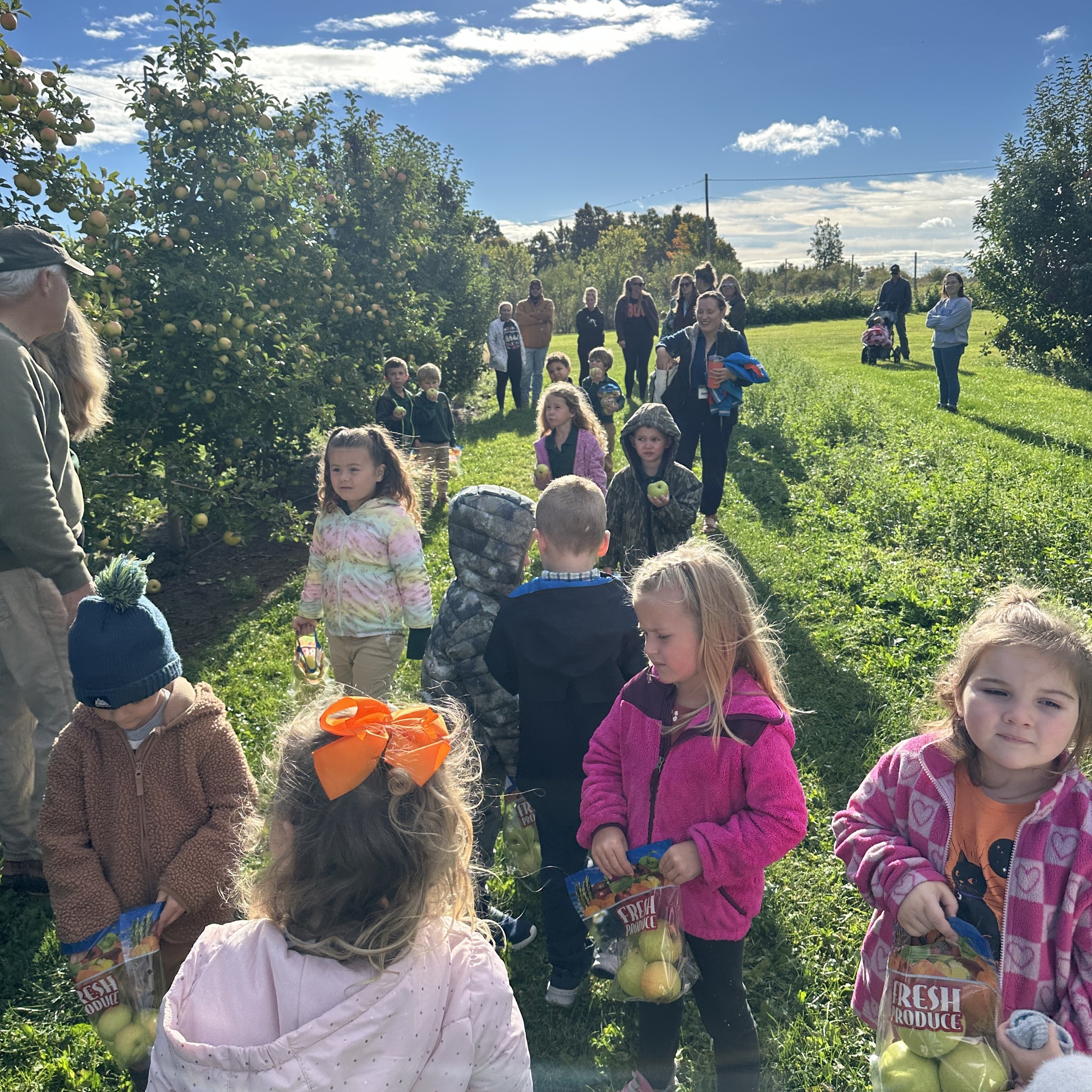 P4 K Field Trip to Orchard 10.2026 2.jpeg