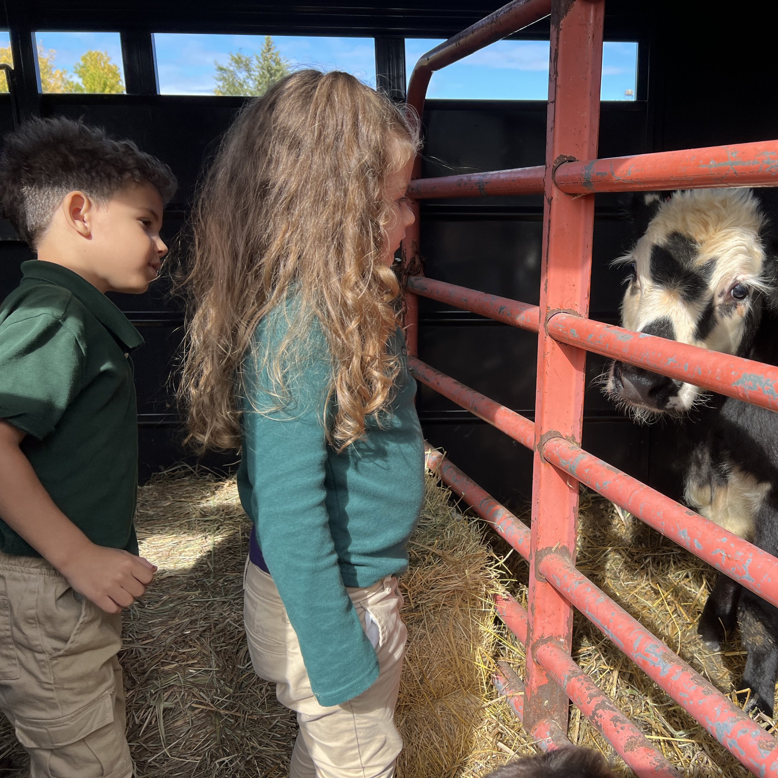 Celebrating the Feast of St. Francis with a Blessing of the Animals