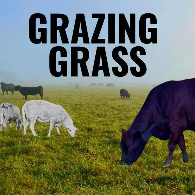 grazing grass podcast.jpeg