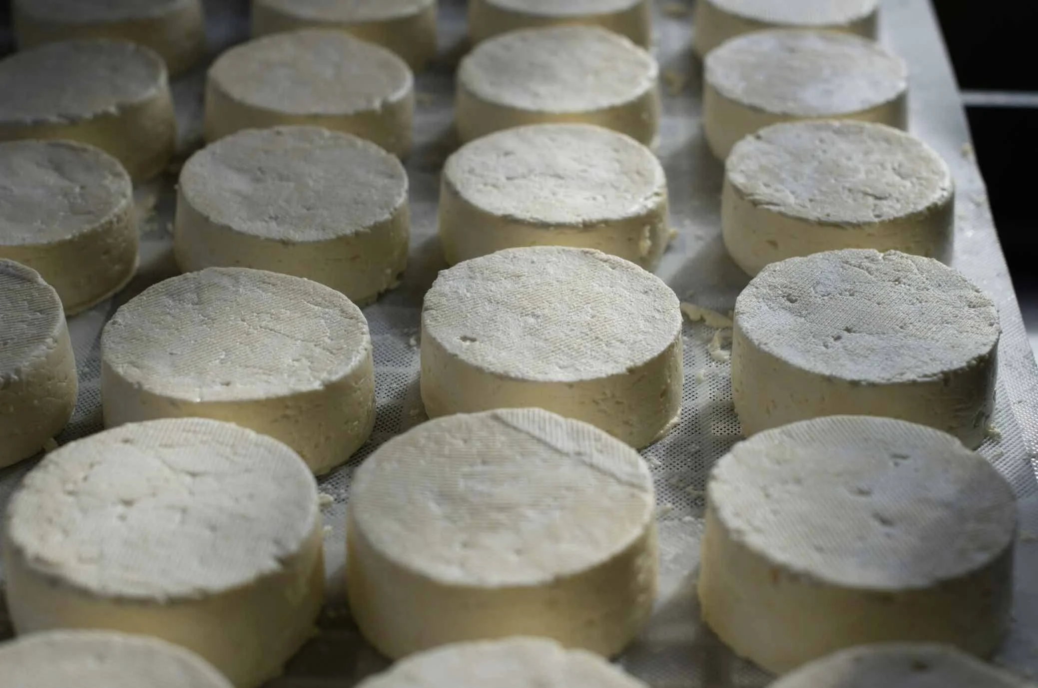 Introduction to Natural Cheese Making