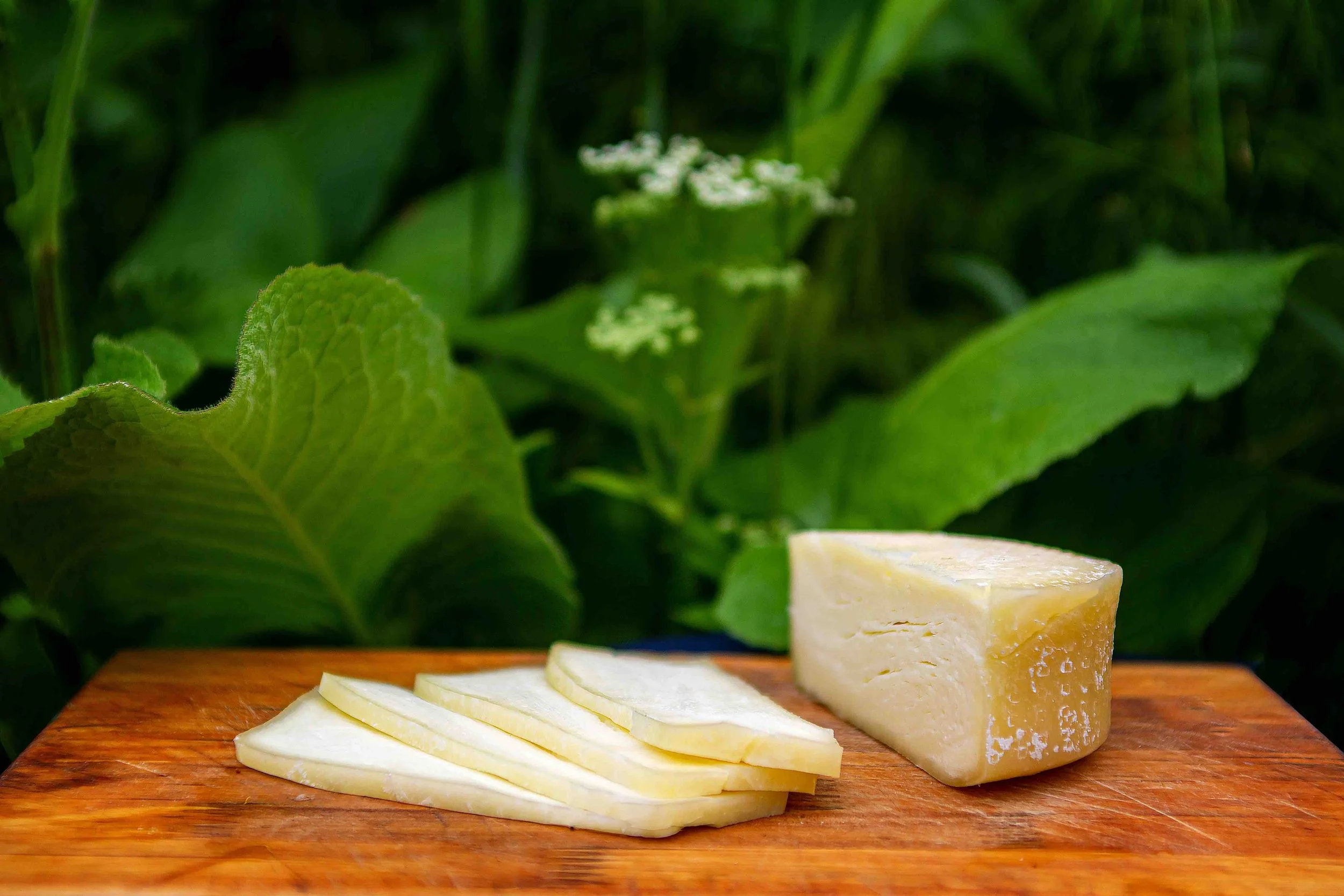 Advanced Cheese Making Workshop