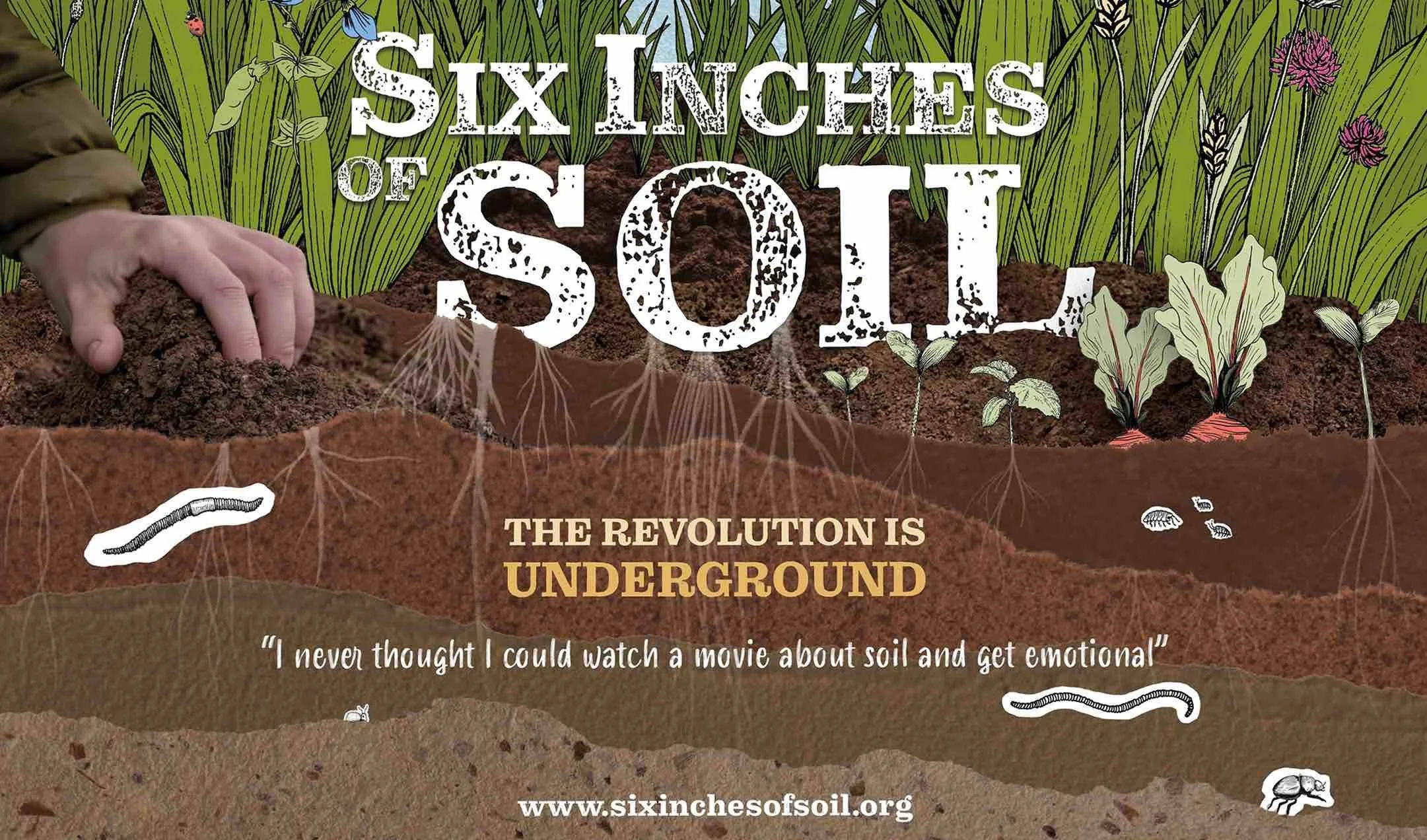 Six Inches of Soil Screenings
