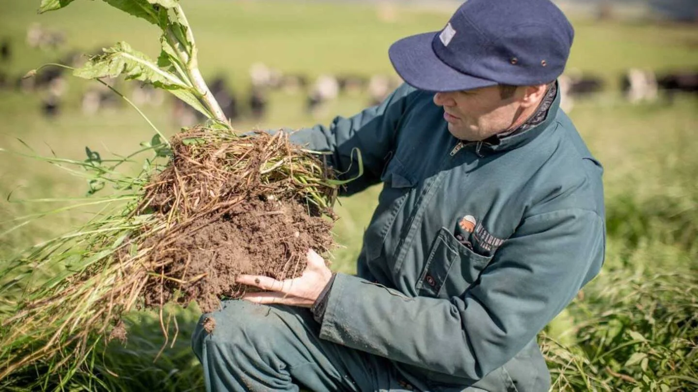 Regenerative farming in the spotlight at community event