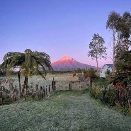 Taranaki ReGen End of Year Social Gathering