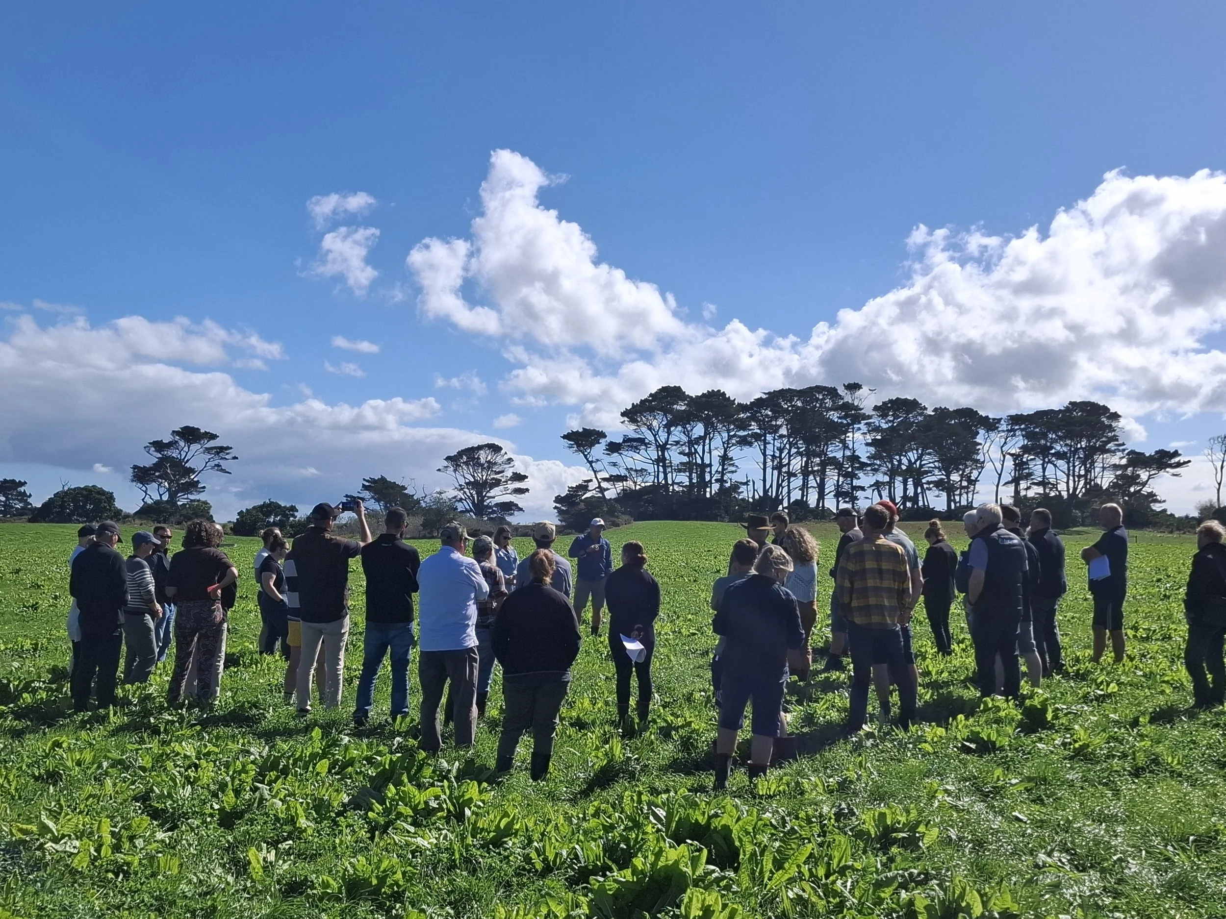 Group of people gathered in a lush green field under a blue sky with scattered clouds, trees in the background.