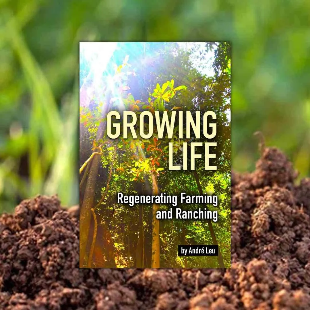 growing resilience book.jpeg