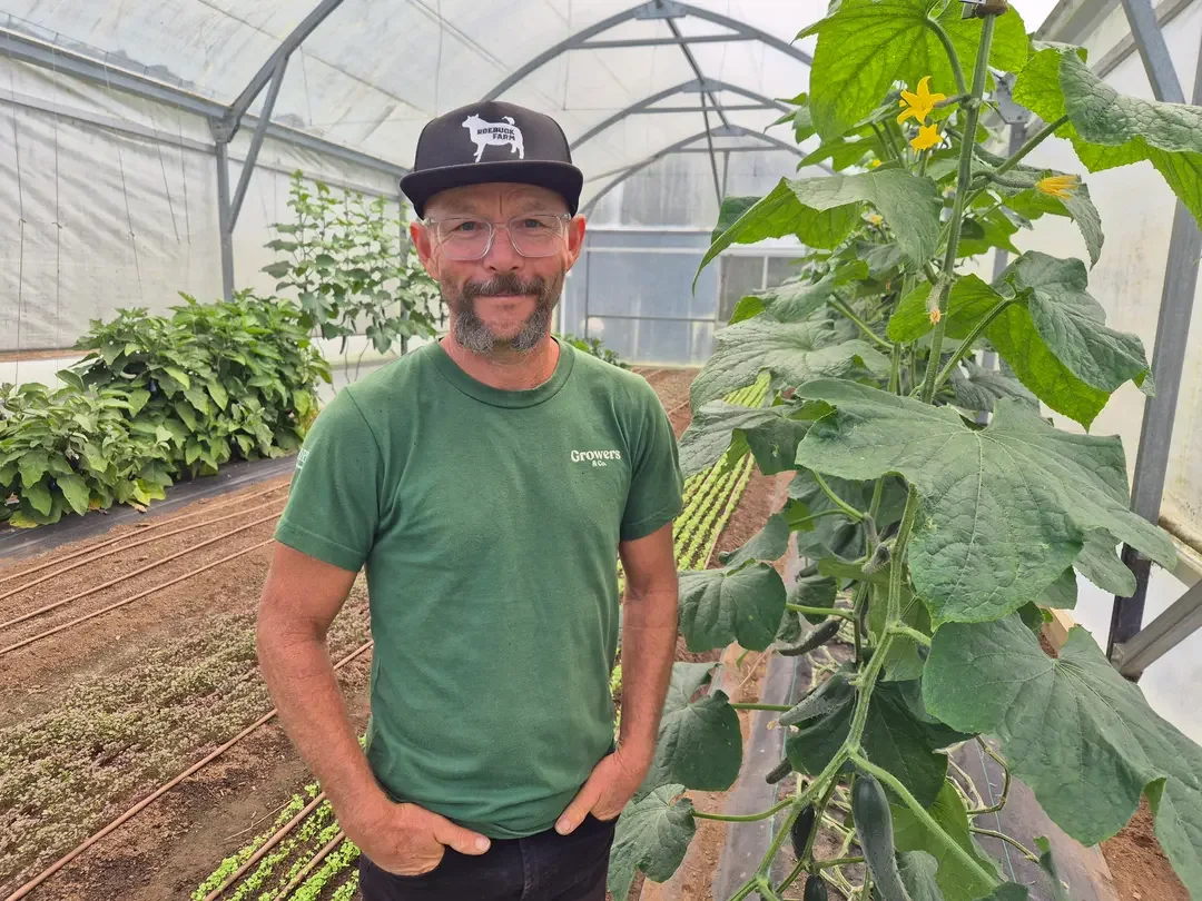 farmer Jodi Roebuck standing in a greenhouse with cucumbers, lettuce and eggplants
