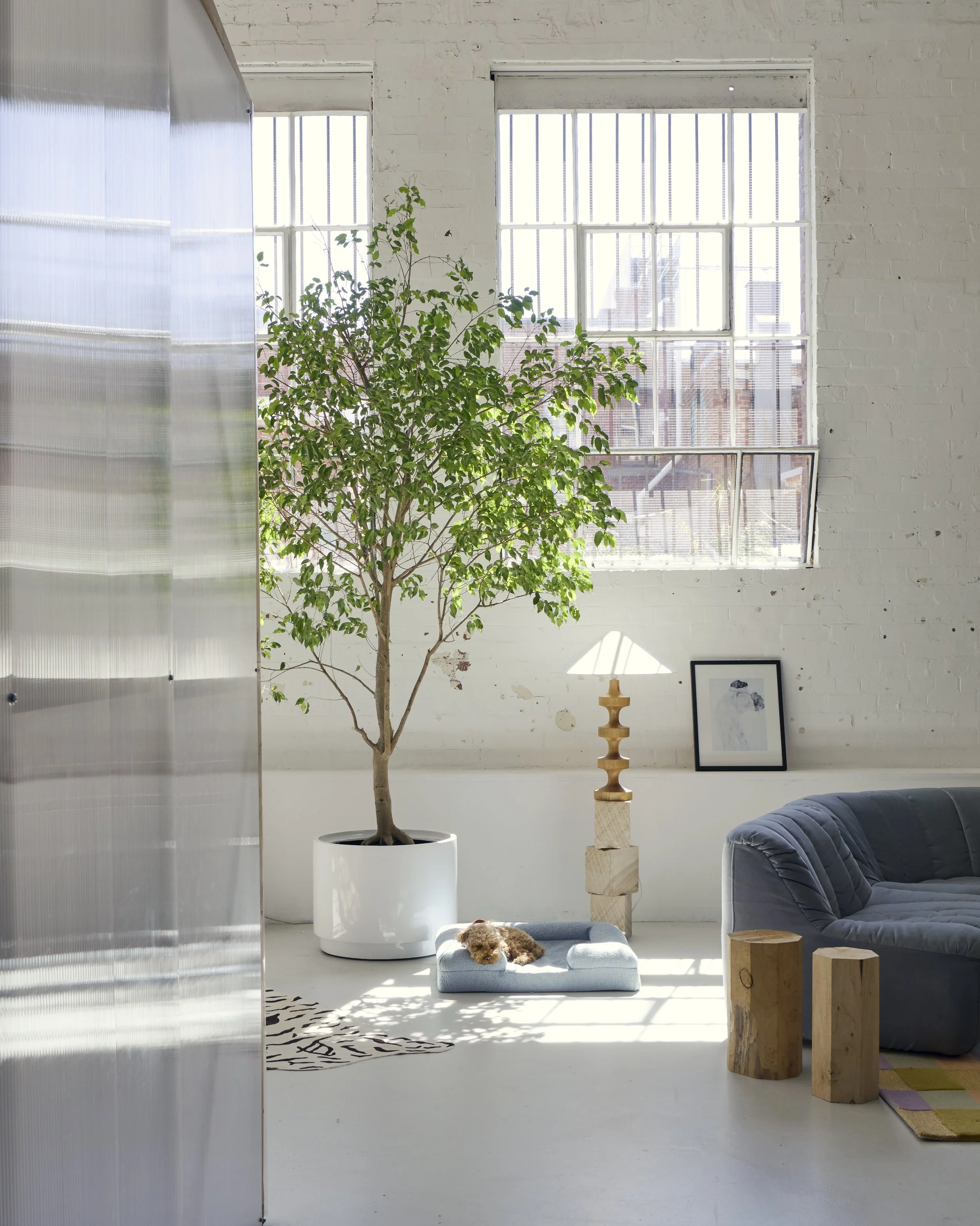kipandco-aw26-hls-softfocus0540.jpg