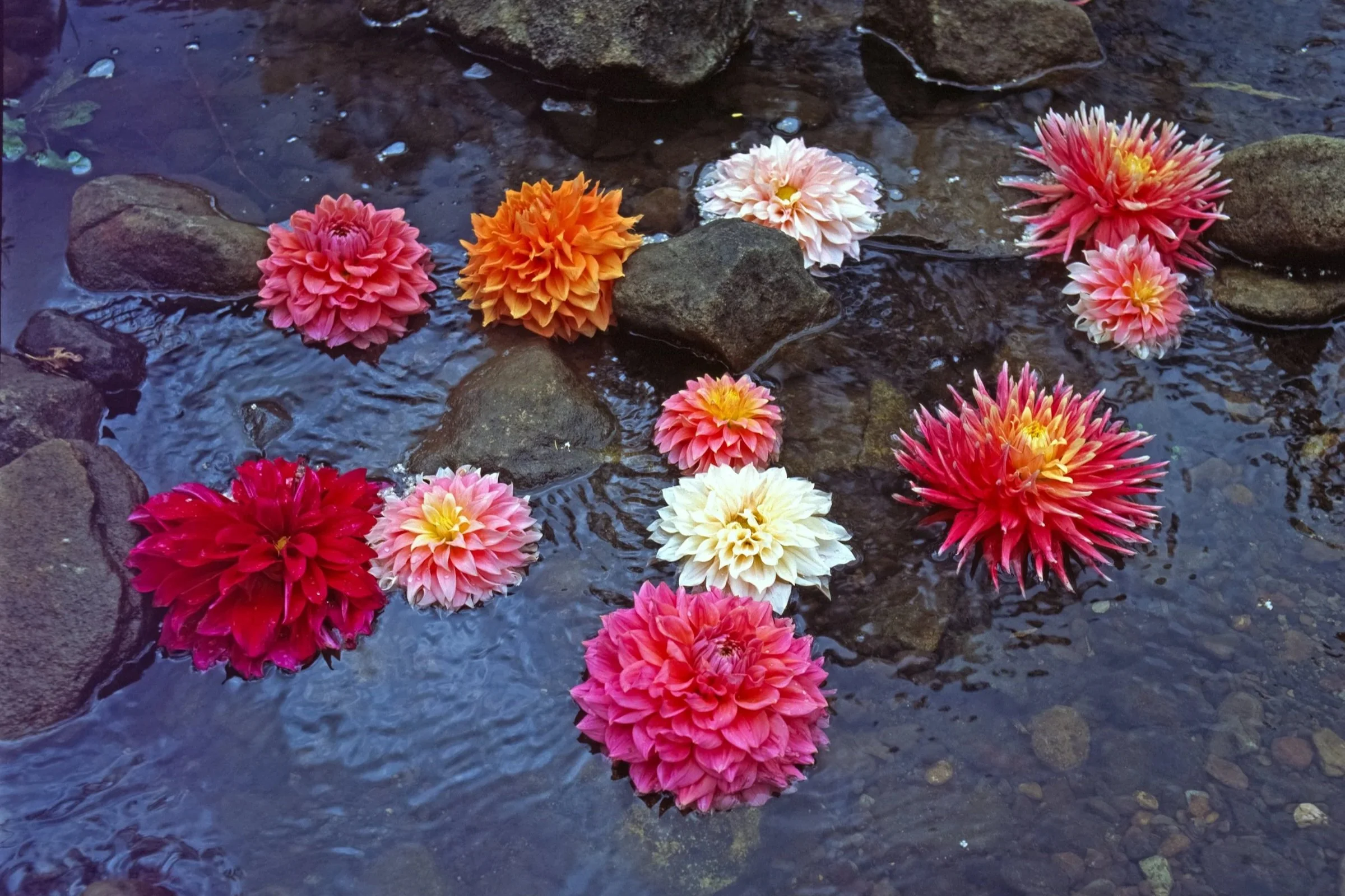 Sometimes you need more than a friend: when and how to access fertility mental health support