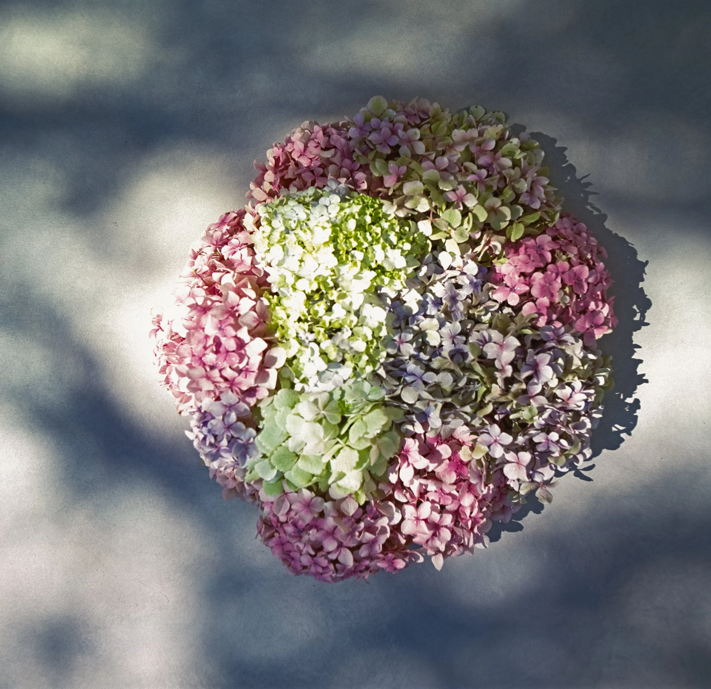 Comprehensive answers to your pregnancy and ovulation testing questions (FAQs)