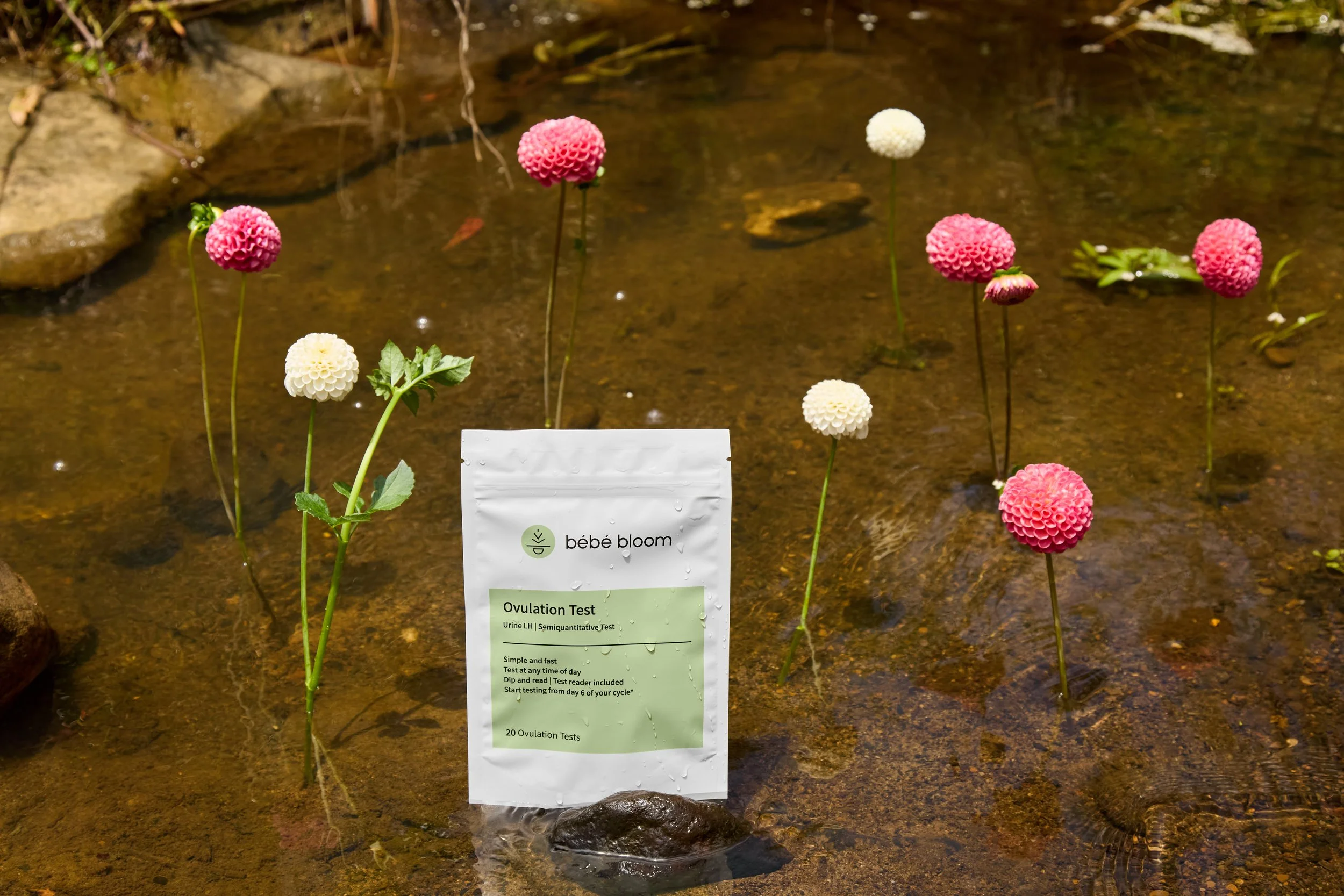 bébé bloom Ovulation Test pouch standing in a shallow stream surrounded by pink and white globe flowers, with the product label showing Urine LH Semiquantitative Test visible.