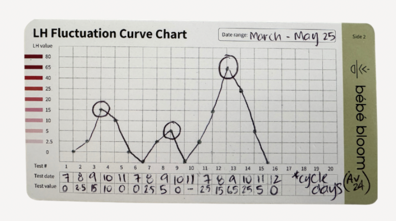 bébé bloom LH Fluctuation Curve Chart showing three months of LH tracking from March to May 2025, with daily LH numerical values plotted across each cycle and peaks circled, reaching 15, 5 and 65 mIU/mL respectively.