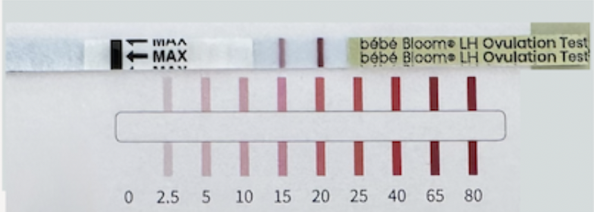 bébé bloom LH Ovulation Test strip shown above the Test Reader Colour Card, displaying nine colour gradations from light pink to deep red, corresponding to LH values of 0, 2.5, 5, 10, 15, 20, 25, 40, 65 and 80 mIU/mL.