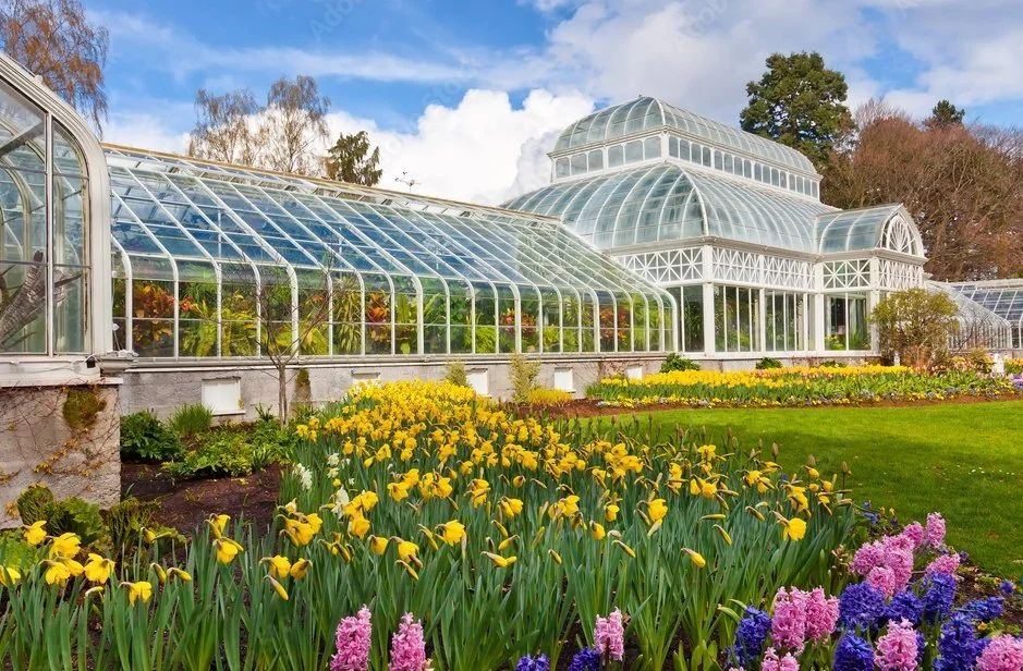 Greenhouse with glass panels surrounded by colorful flowers, including yellow tulips and purple hyacinths, with trees and blue sky in the background.