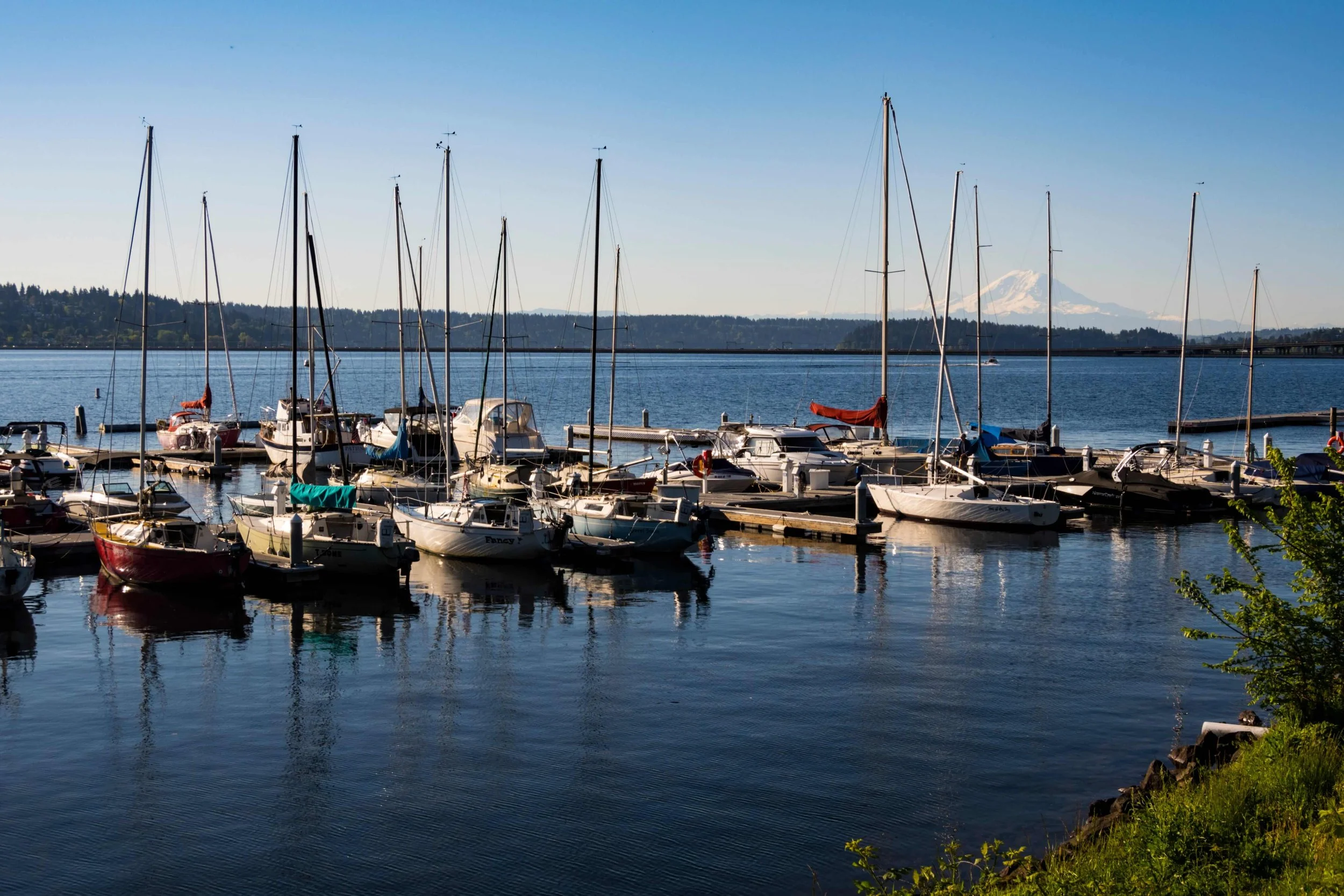 Moving to Seattle? What is Leschi Like? — be home in seattle