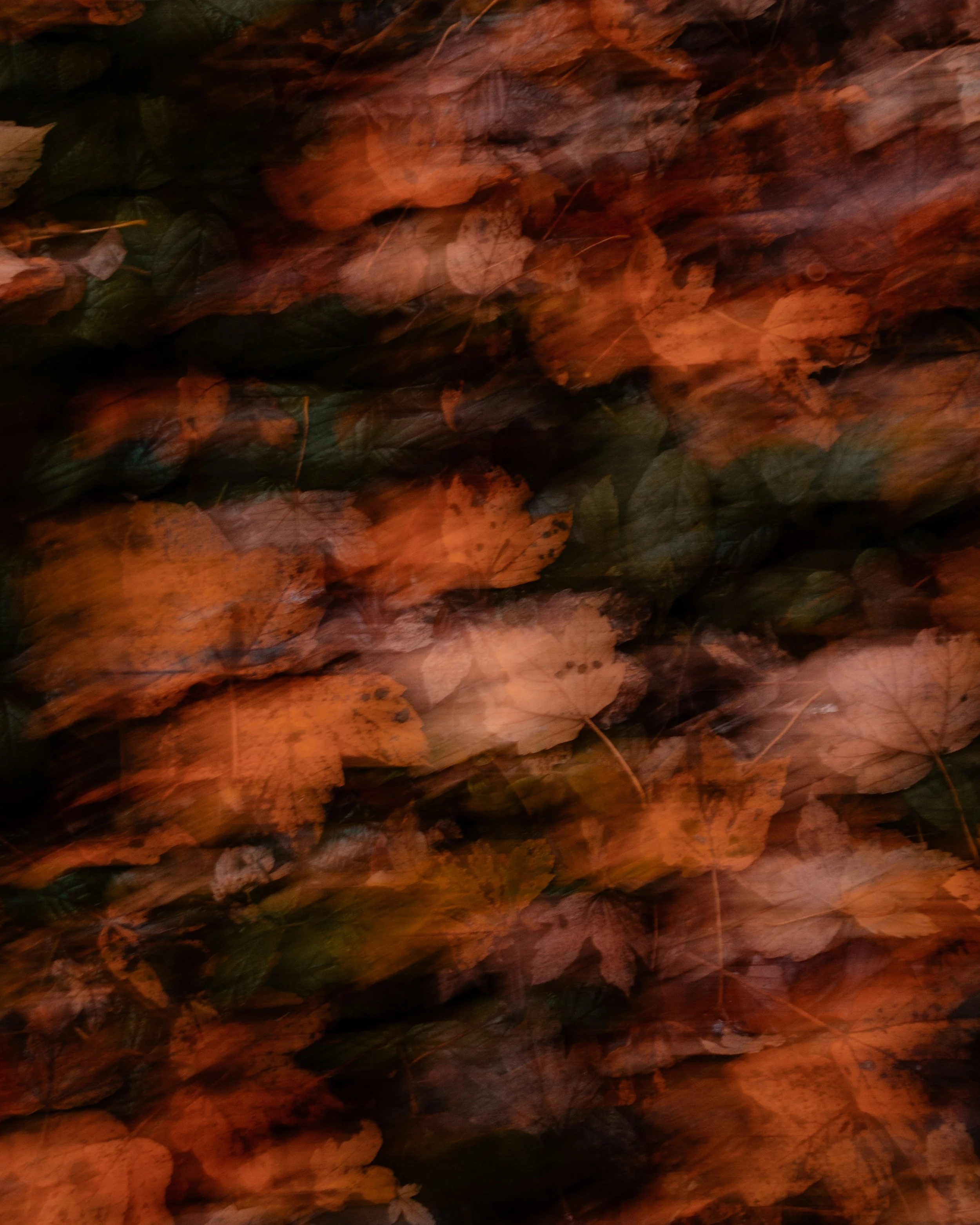 La Elección del Náufrago