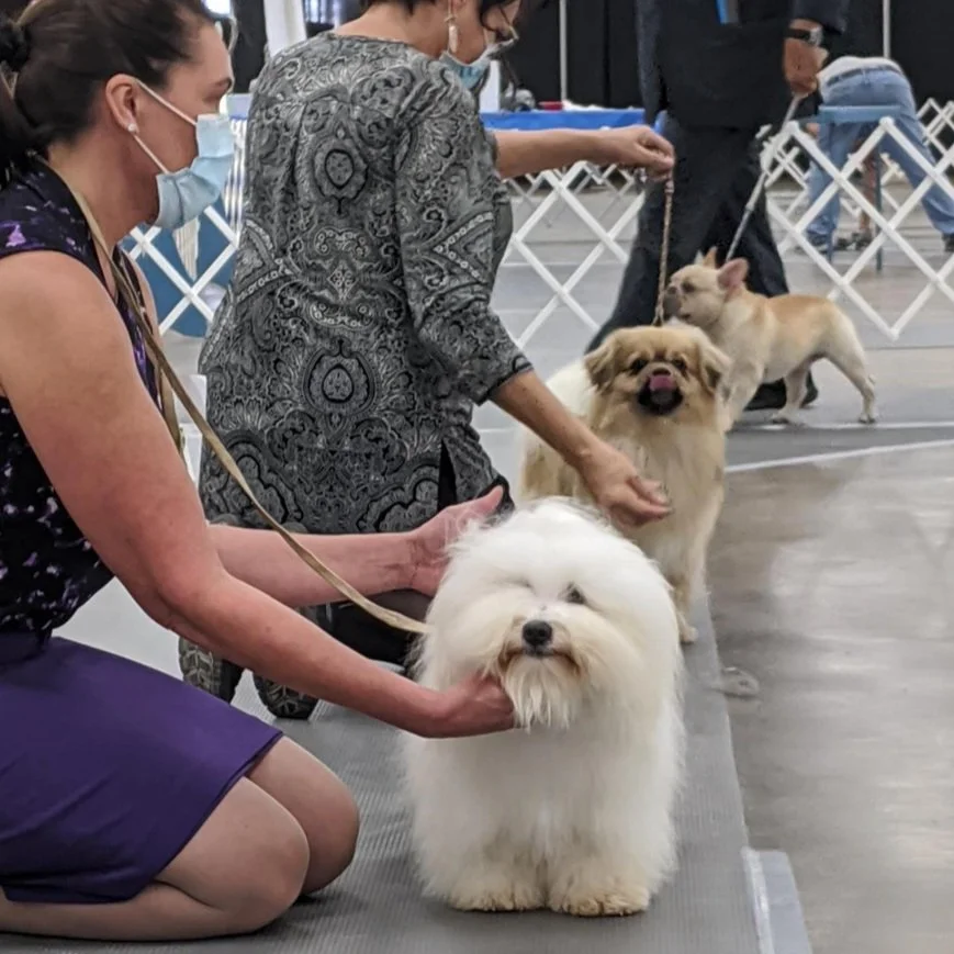 Screenshot 2025-02-04 at 9.17.26 AM.jpg