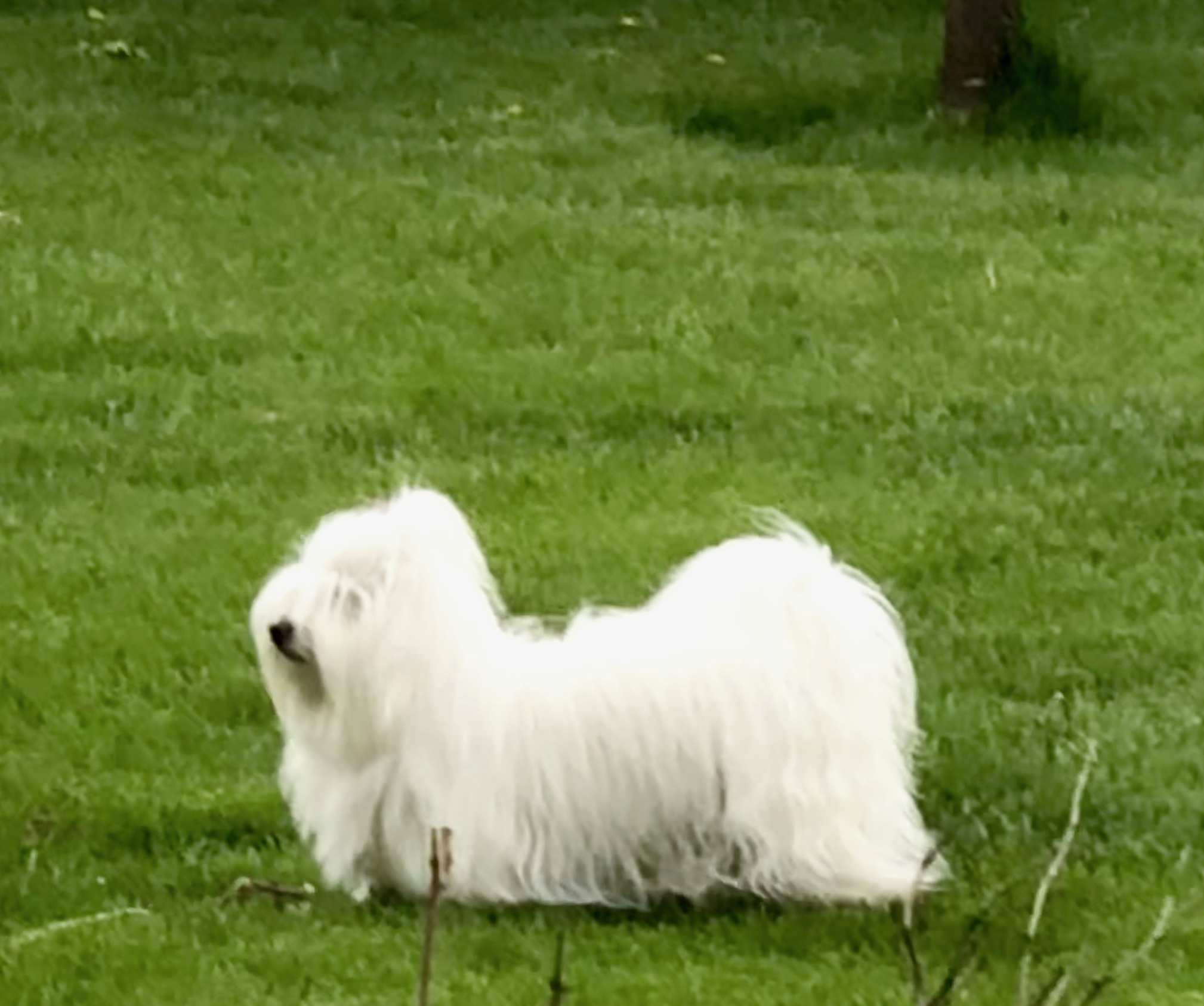 Screenshot 2025-02-04 at 9.07.50 AM.png