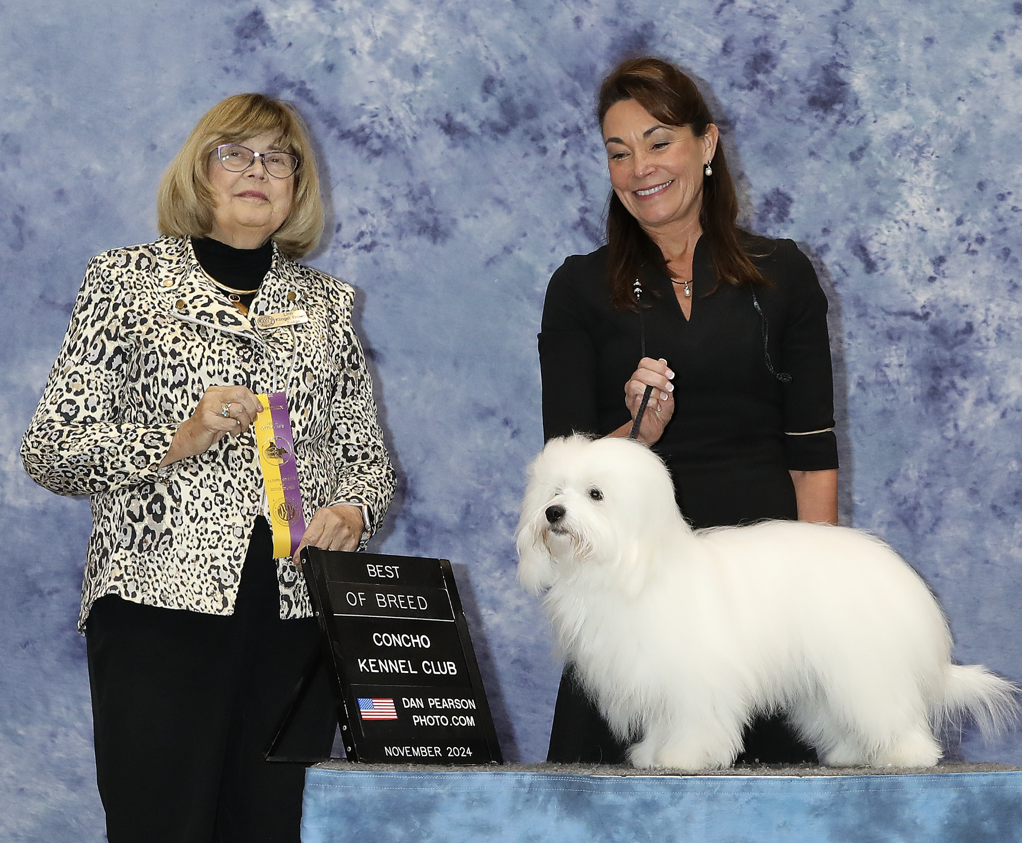 Screenshot 2025-03-31 at 8.09.56 AM.png