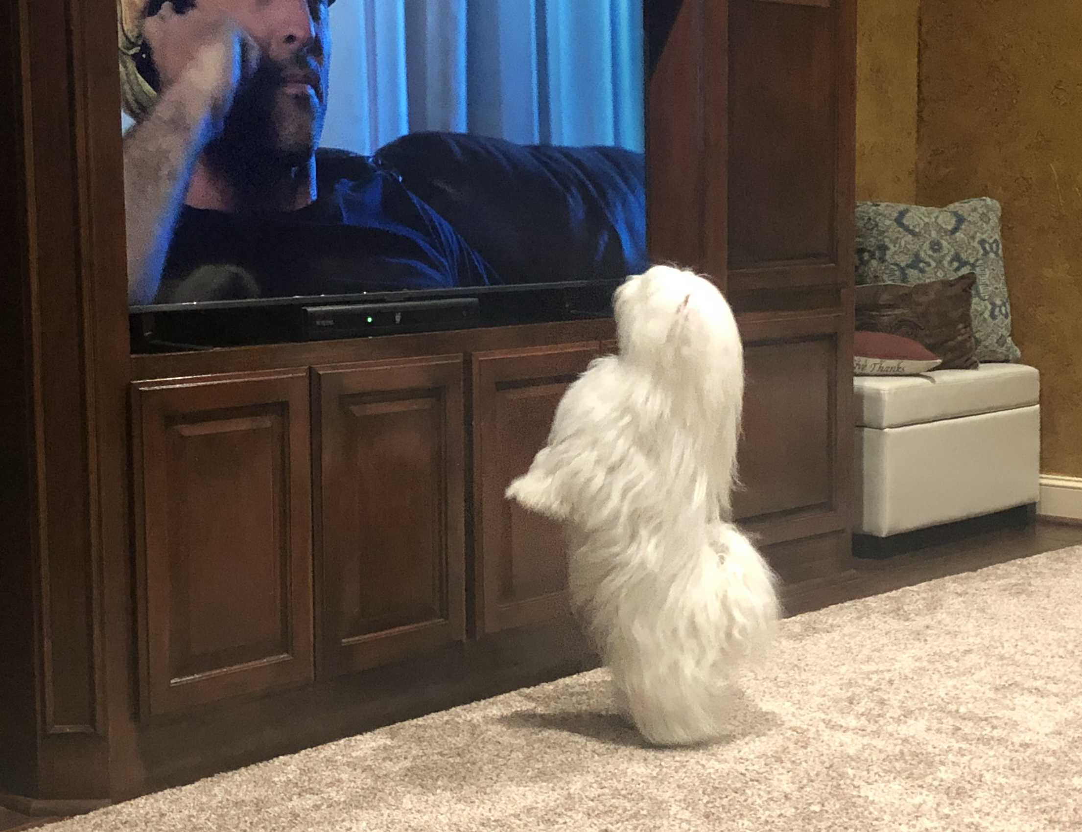 Screenshot 2025-02-04 at 9.07.40 AM.png