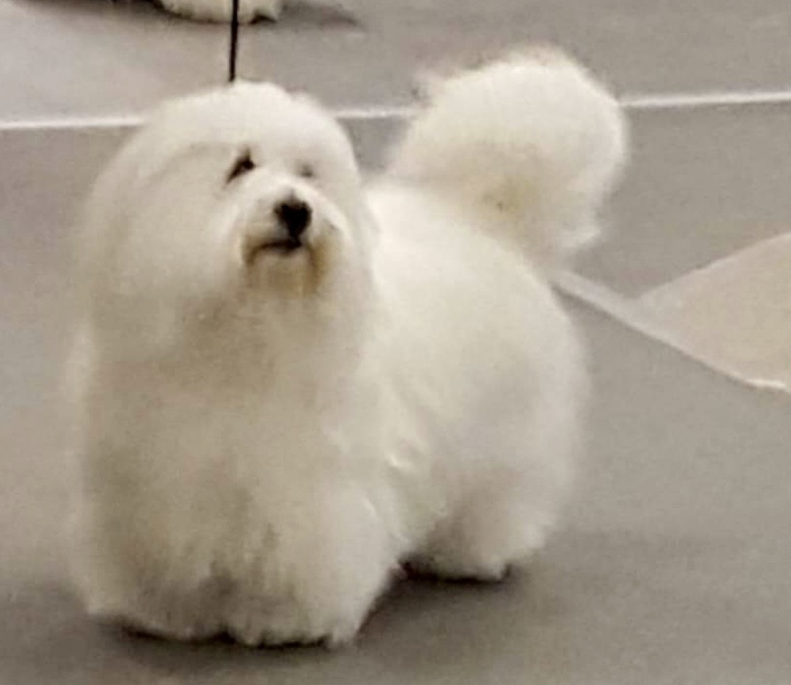 Screenshot 2025-02-04 at 9.08.09 AM.png