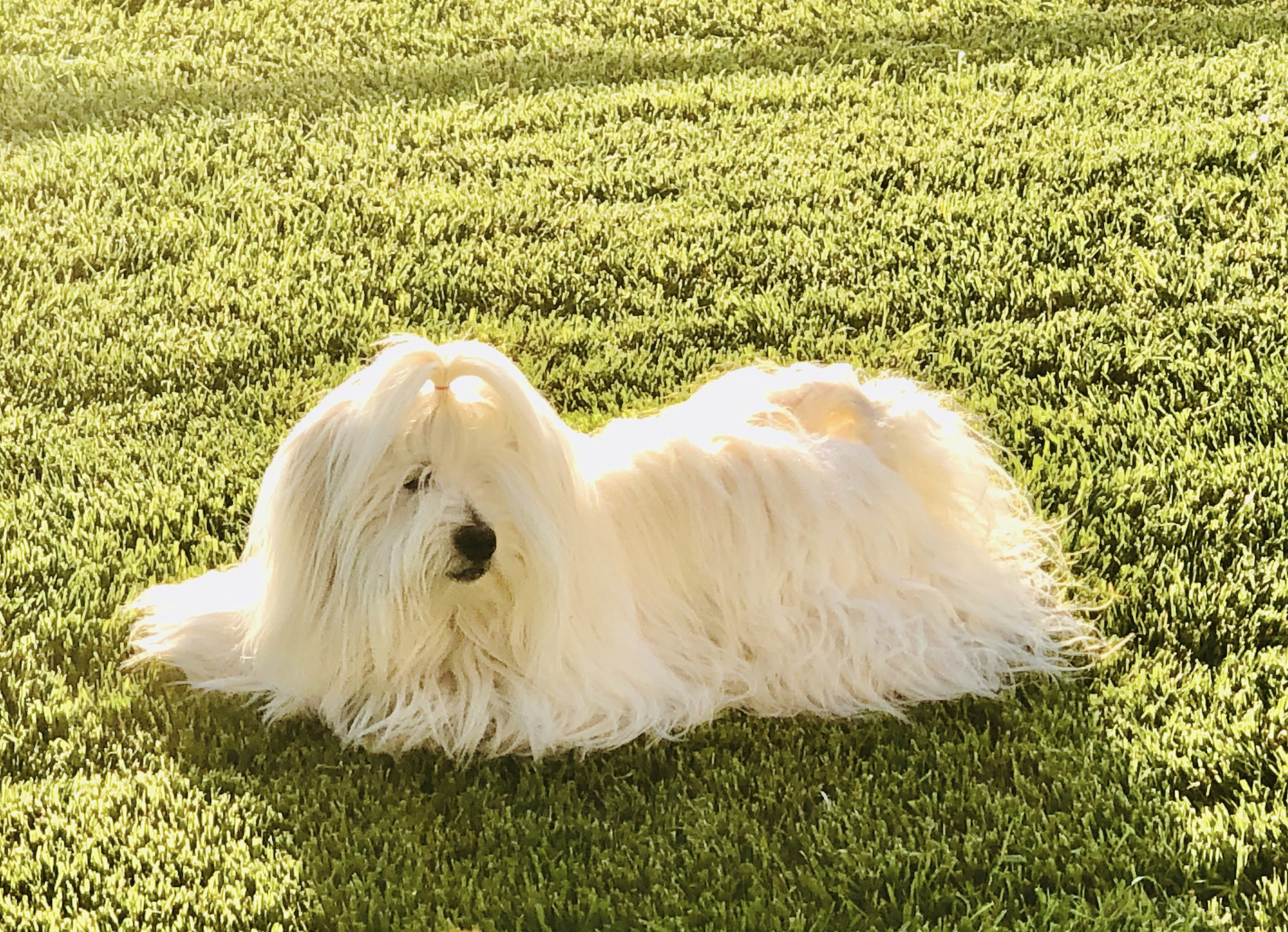 Screenshot 2025-02-04 at 9.07.24 AM.png