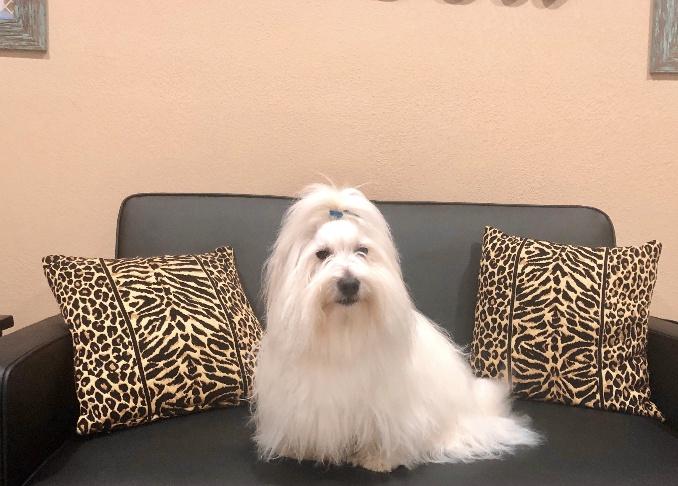 Screenshot 2025-02-04 at 9.07.12 AM.png