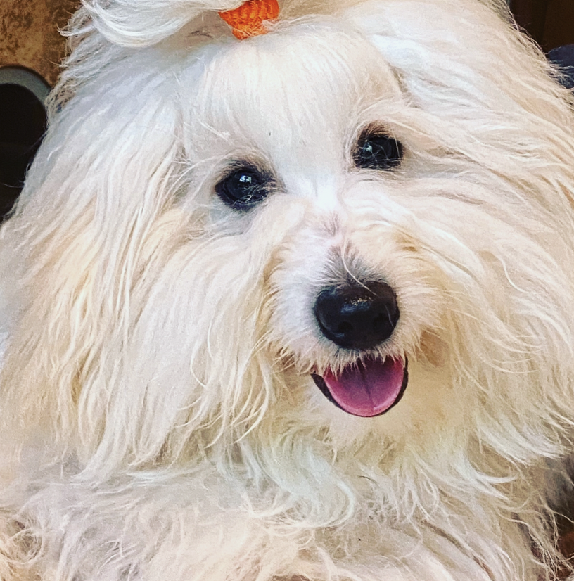 Screenshot 2025-02-04 at 9.17.22 AM.png