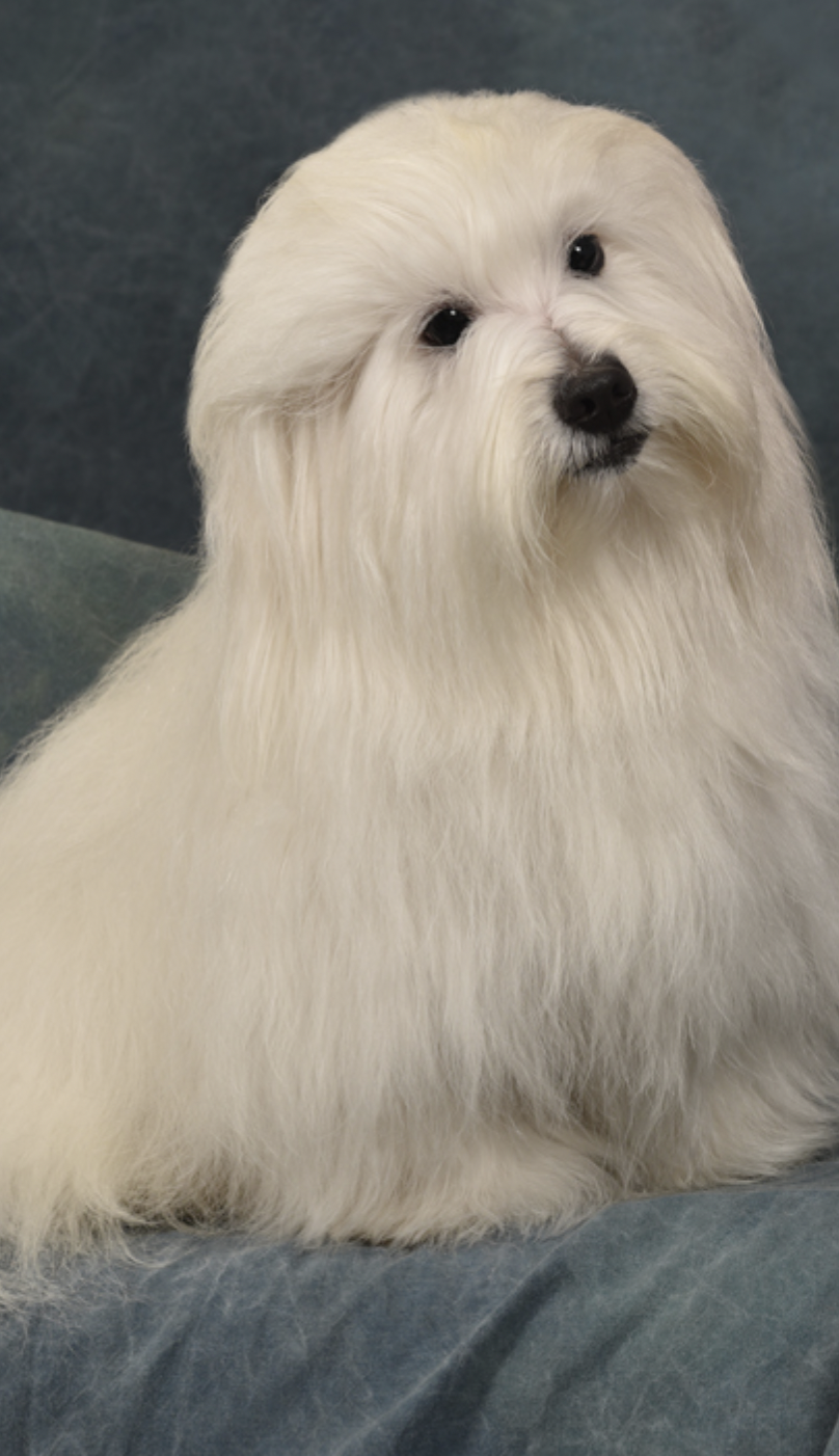 Screenshot 2025-02-04 at 9.08.18 AM.png