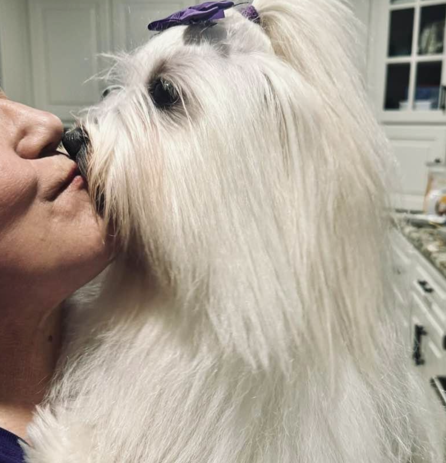 Screenshot 2025-04-01 at 8.13.55 AM.png