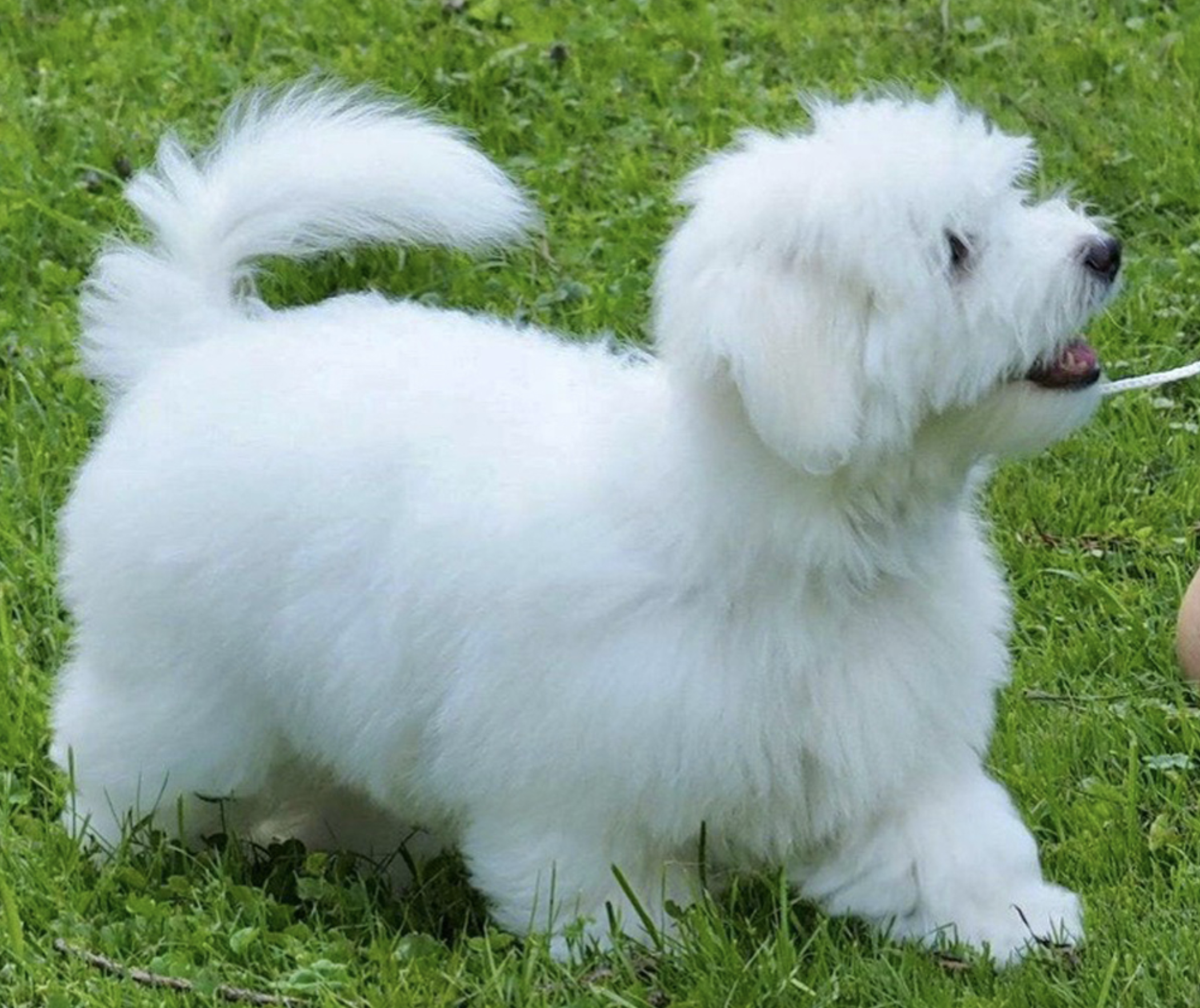 Screenshot 2025-01-11 at 2.36.34 PM.png